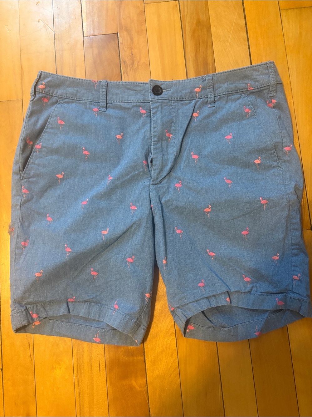 Hollister Denim Blue Shorts with Cream Waistband